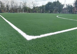 河南駐馬店獅林球場